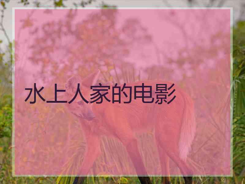 水上人家的电影