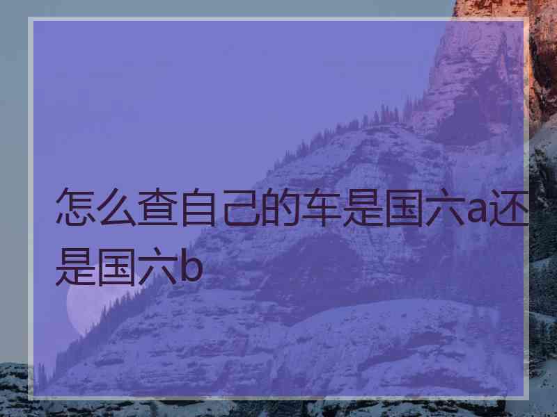 怎么查自己的车是国六a还是国六b