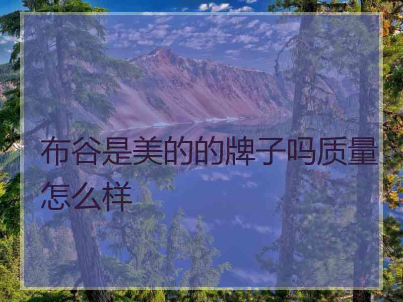 布谷是美的的牌子吗质量怎么样