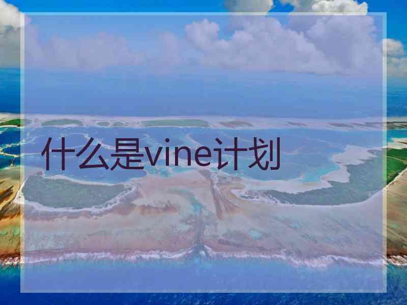 什么是vine计划