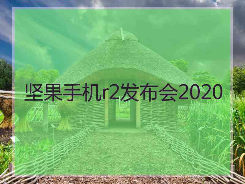 坚果手机r2发布会2020