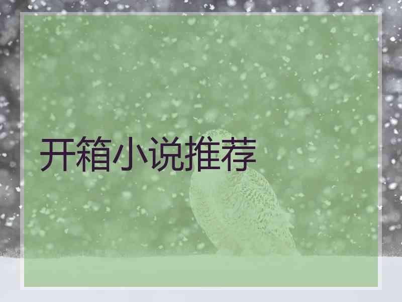 开箱小说推荐