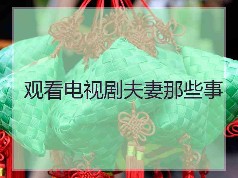 观看电视剧夫妻那些事