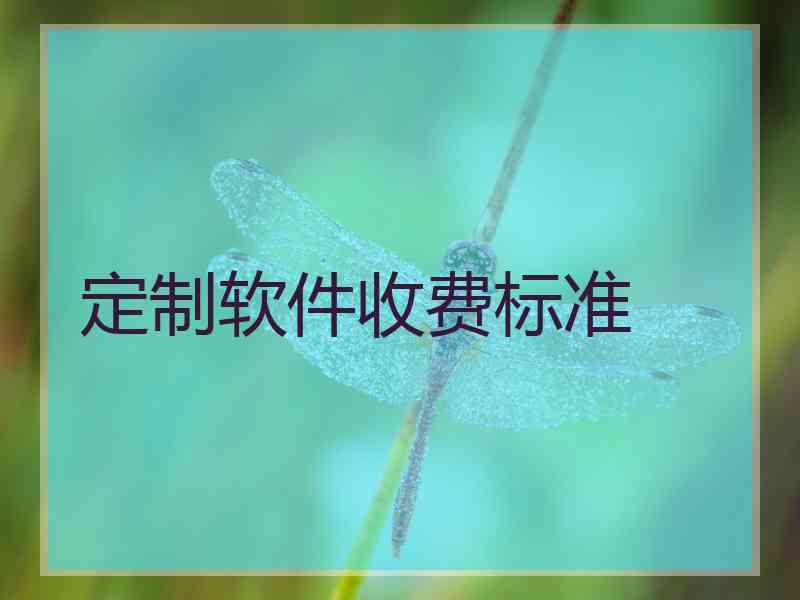 定制软件收费标准