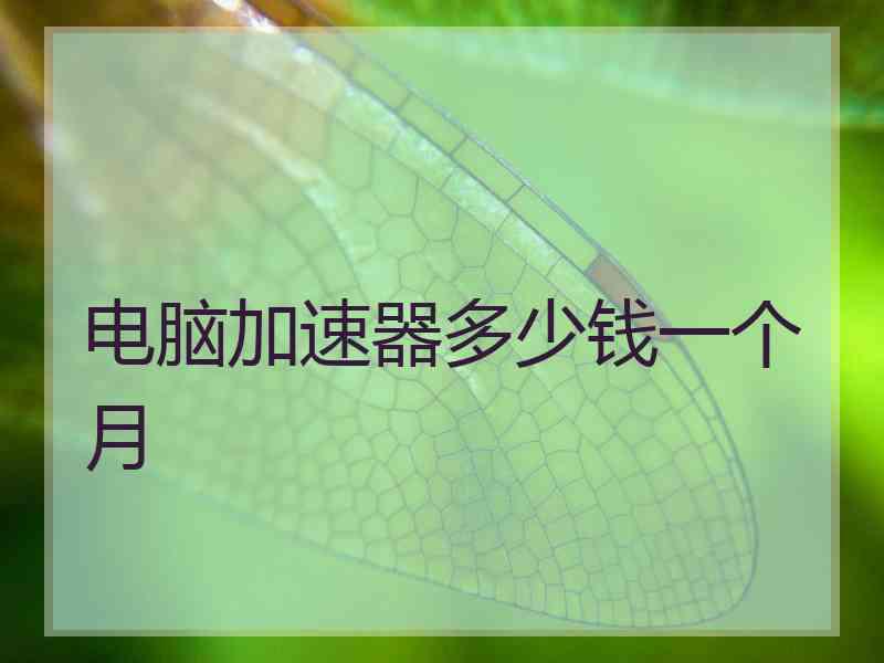 电脑加速器多少钱一个月