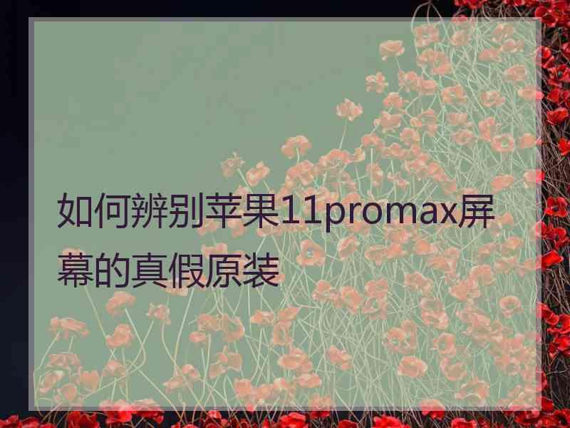 如何辨别苹果11promax屏幕的真假原装
