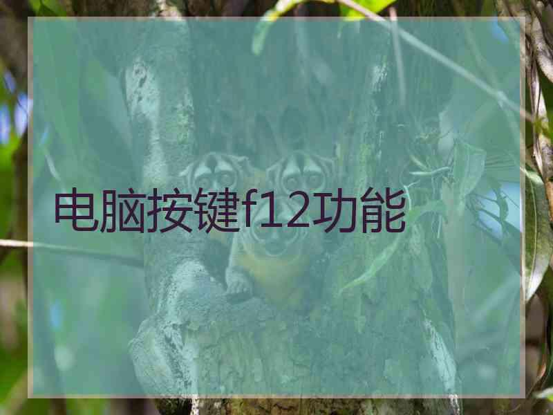 电脑按键f12功能