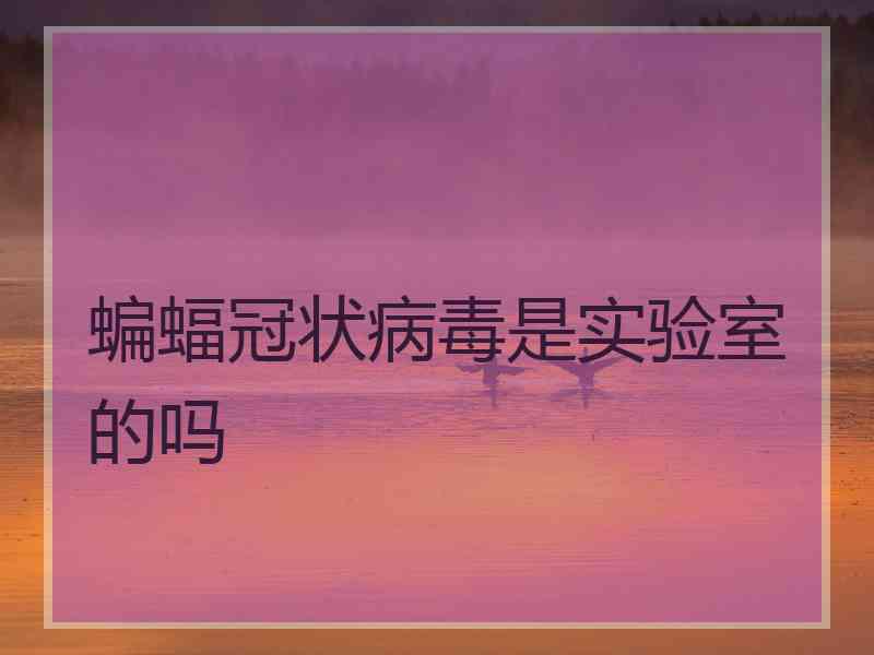 蝙蝠冠状病毒是实验室的吗