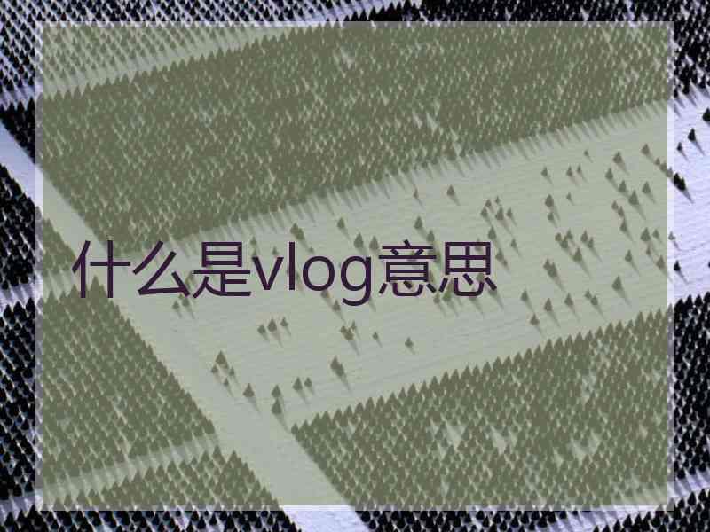 什么是vlog意思