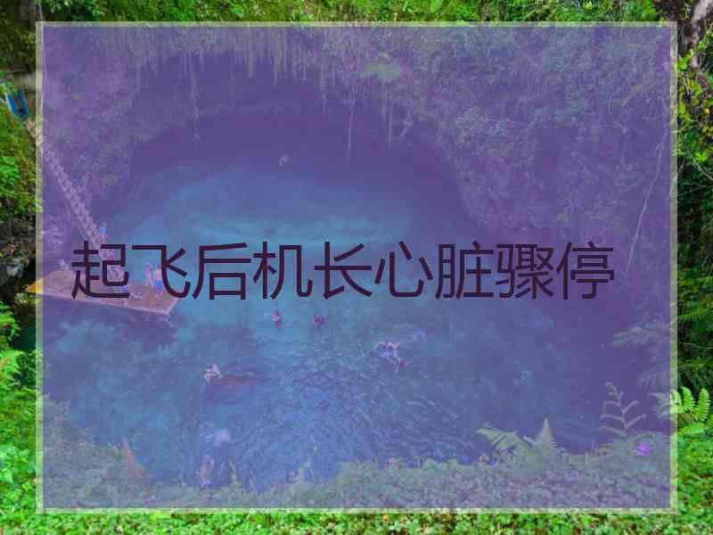起飞后机长心脏骤停