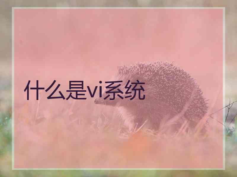 什么是vi系统