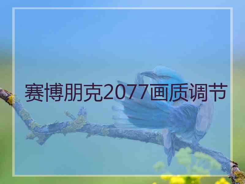 赛博朋克2077画质调节
