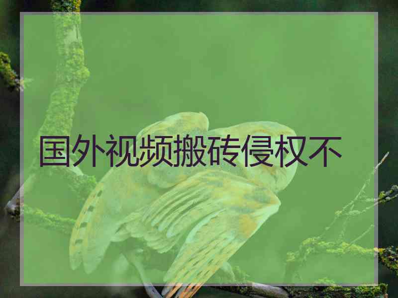国外视频搬砖侵权不
