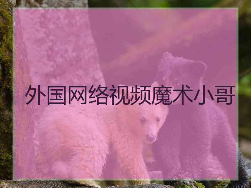 外国网络视频魔术小哥