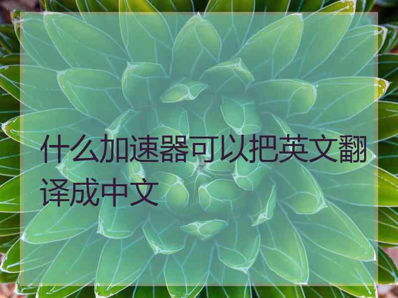 什么加速器可以把英文翻译成中文