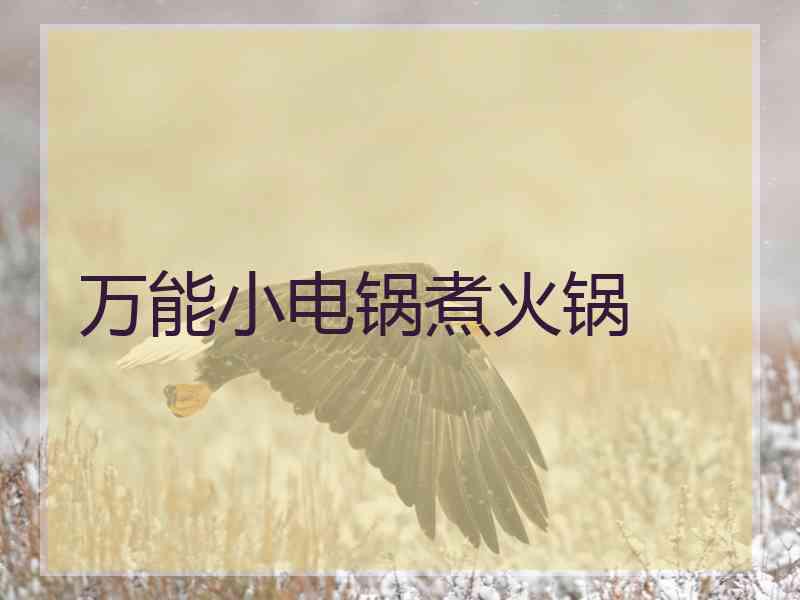 万能小电锅煮火锅