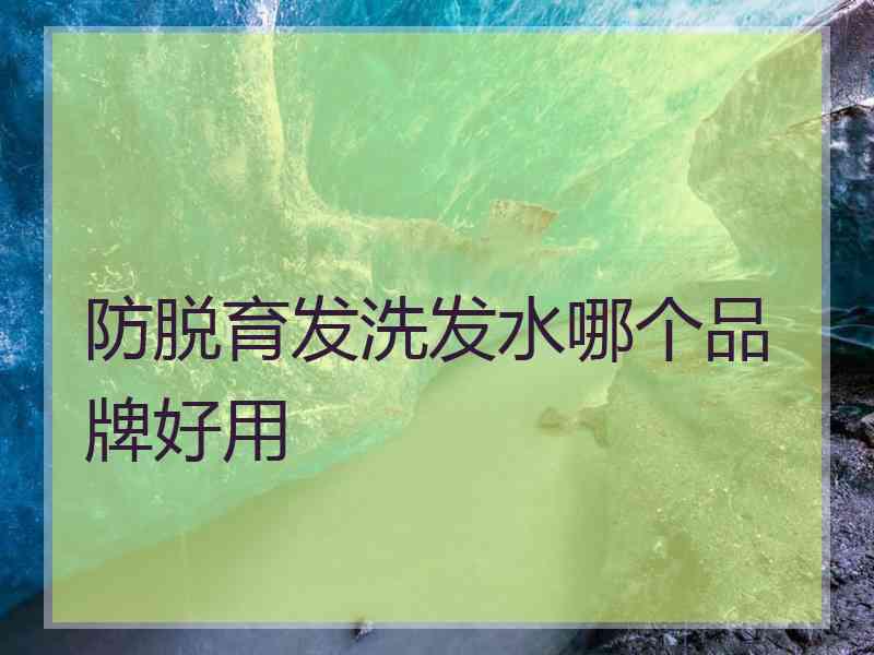 防脱育发洗发水哪个品牌好用
