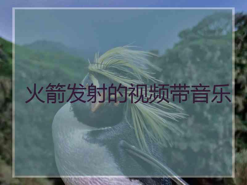火箭发射的视频带音乐