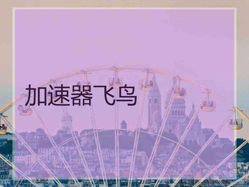 加速器飞鸟