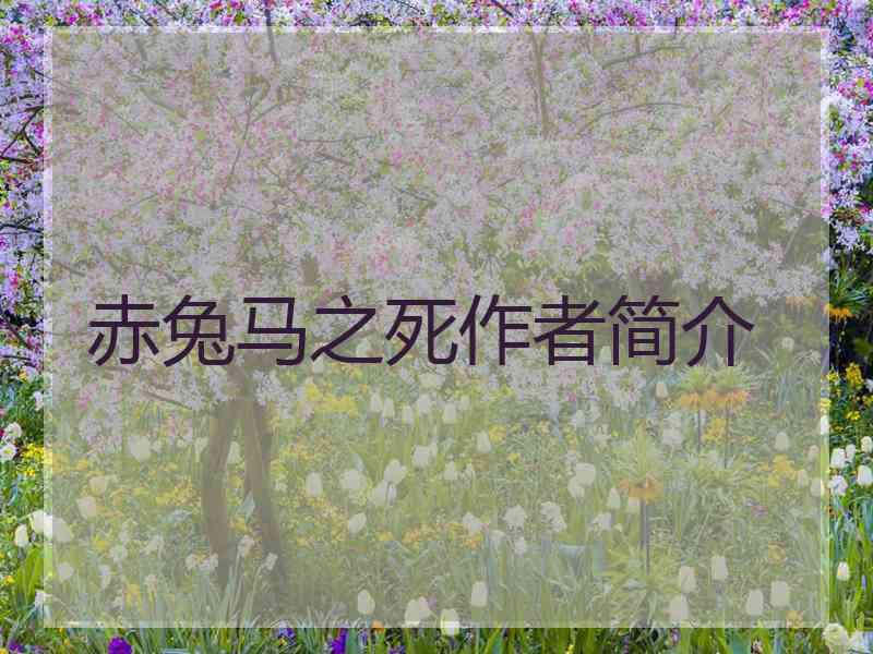 赤兔马之死作者简介