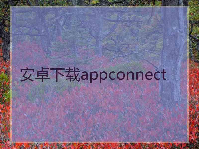 安卓下载appconnect