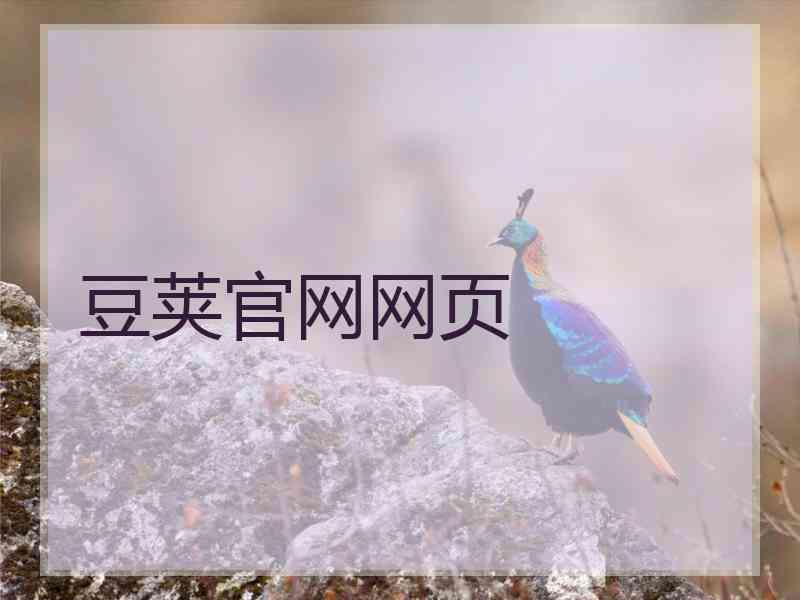 豆荚官网网页