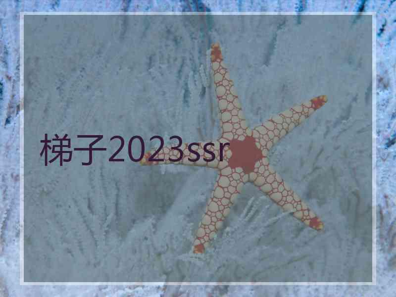 梯子2023ssr