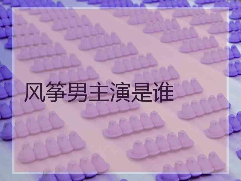 风筝男主演是谁