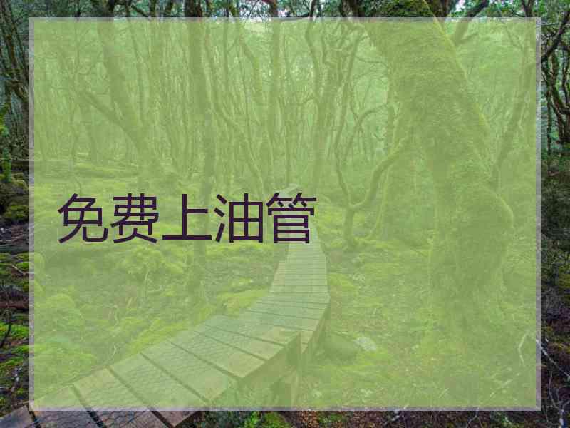 免费上油管
