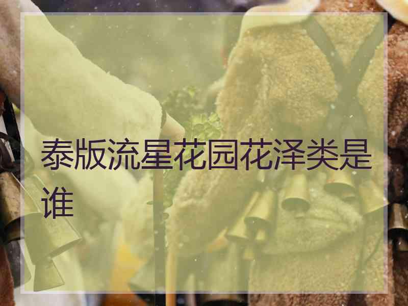泰版流星花园花泽类是谁