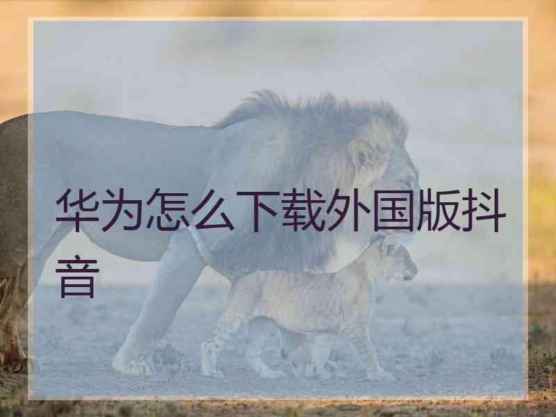 华为怎么下载外国版抖音