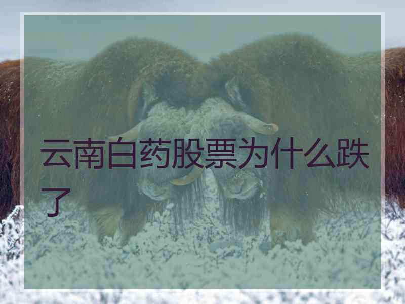 云南白药股票为什么跌了