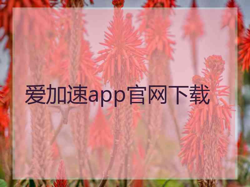 爱加速app官网下载