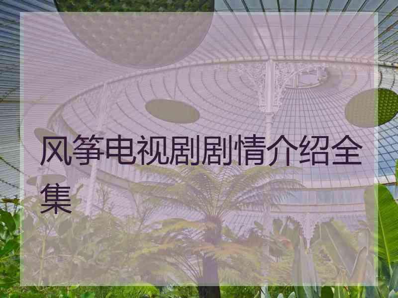 风筝电视剧剧情介绍全集