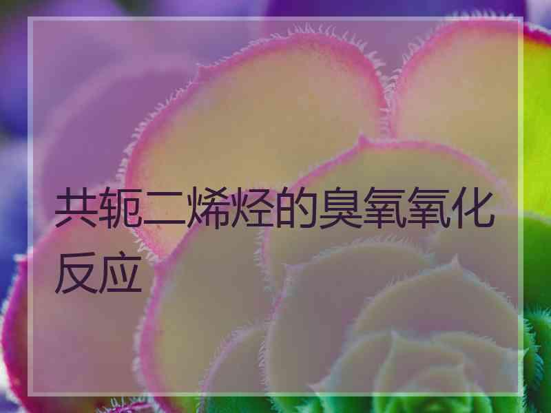 共轭二烯烃的臭氧氧化反应