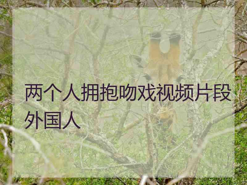 两个人拥抱吻戏视频片段外国人
