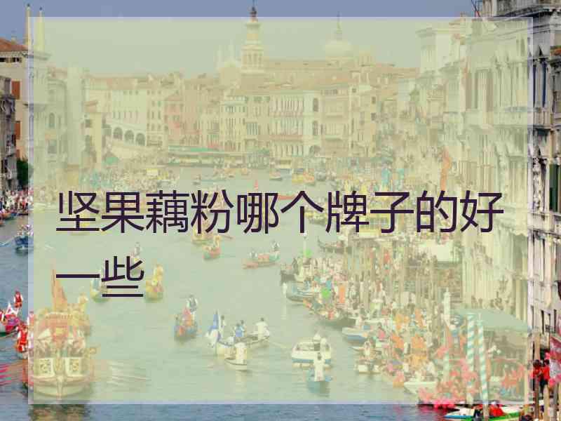 坚果藕粉哪个牌子的好一些