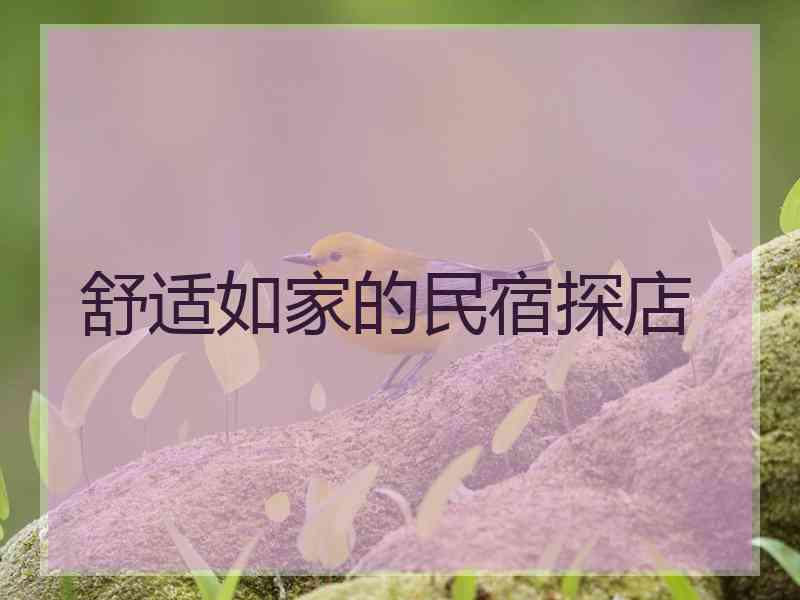 舒适如家的民宿探店