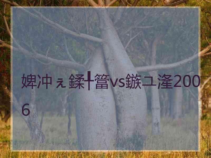 婢冲ぇ鍒╀簹vs鏃ユ湰2006