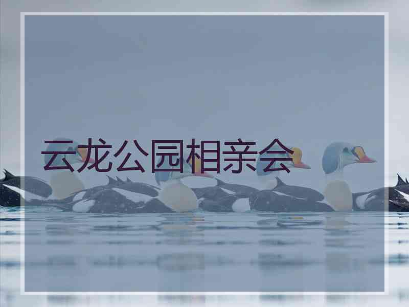 云龙公园相亲会