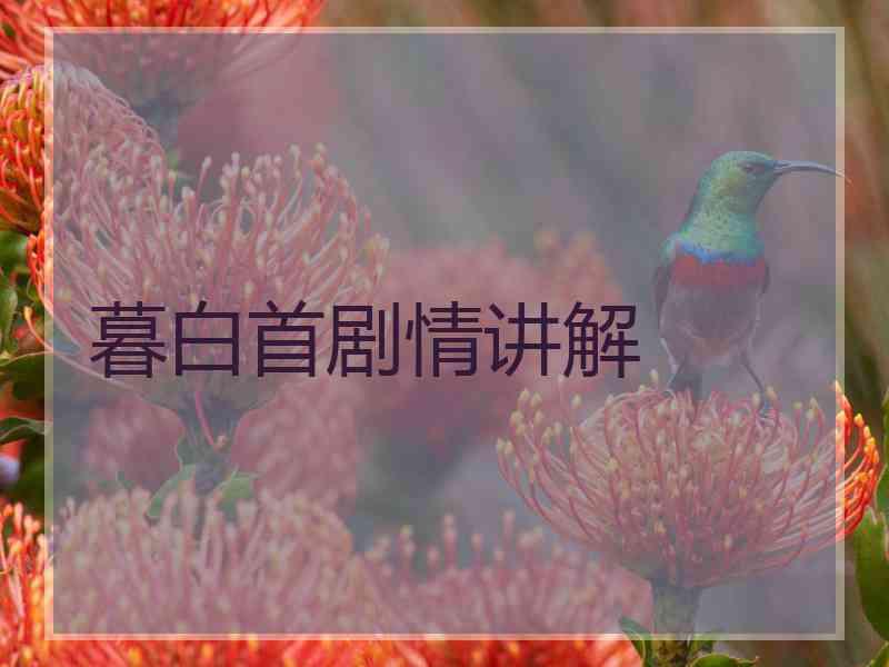 暮白首剧情讲解