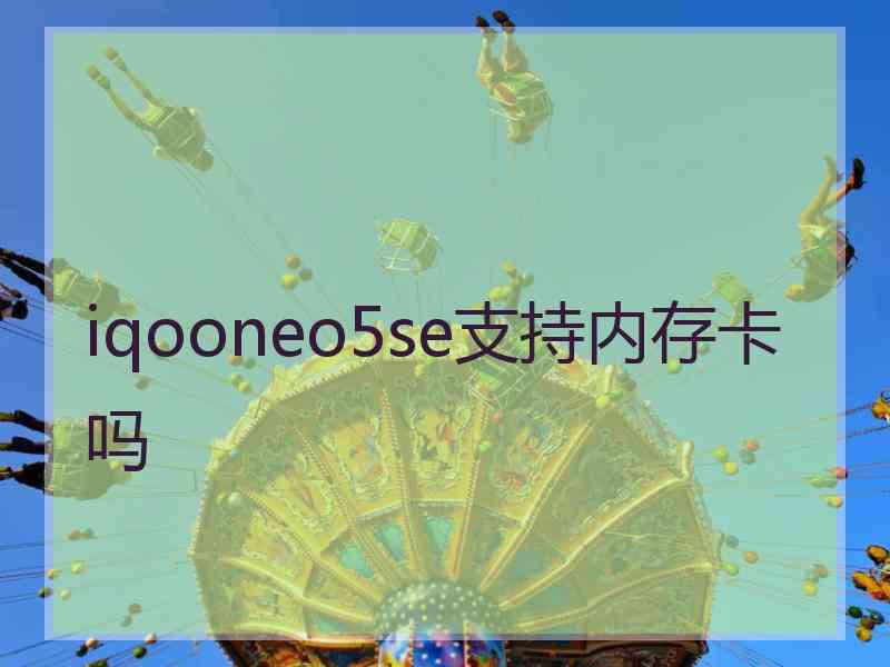 iqooneo5se支持内存卡吗