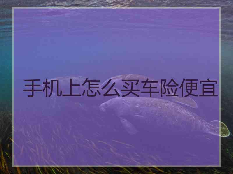手机上怎么买车险便宜