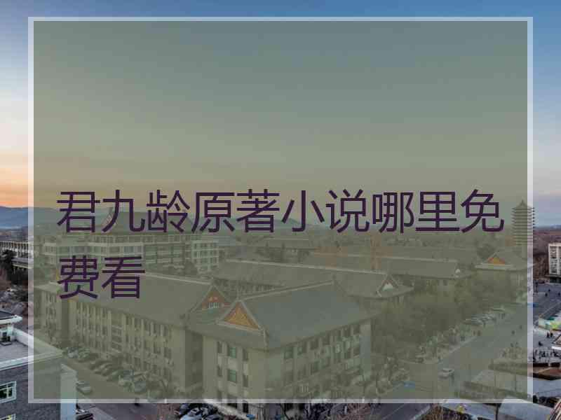 君九龄原著小说哪里免费看