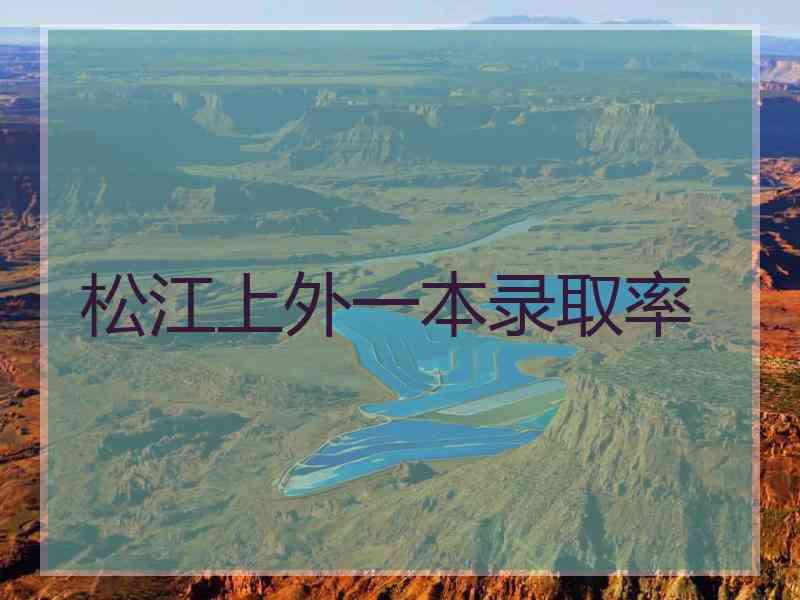 松江上外一本录取率