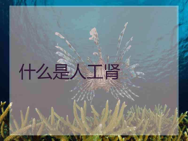 什么是人工肾