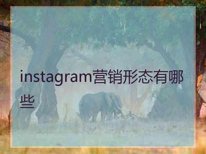 instagram营销形态有哪些