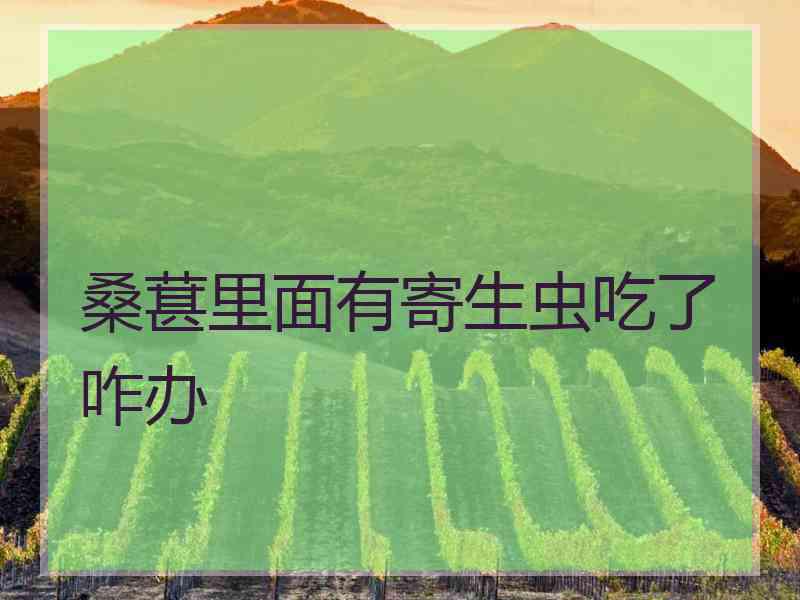 桑葚里面有寄生虫吃了咋办