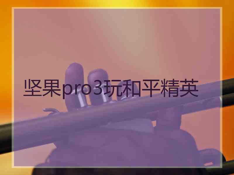 坚果pro3玩和平精英