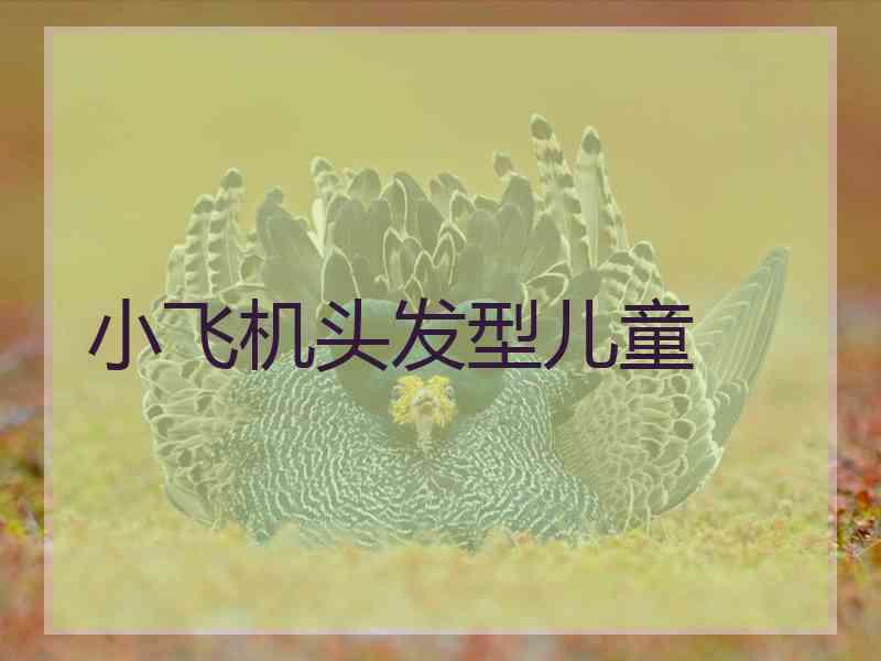 小飞机头发型儿童